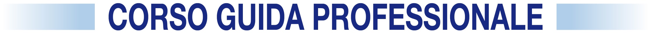 Corso Guida Professionale min
