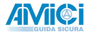 AMICI GUIDA SICURA OK300 min